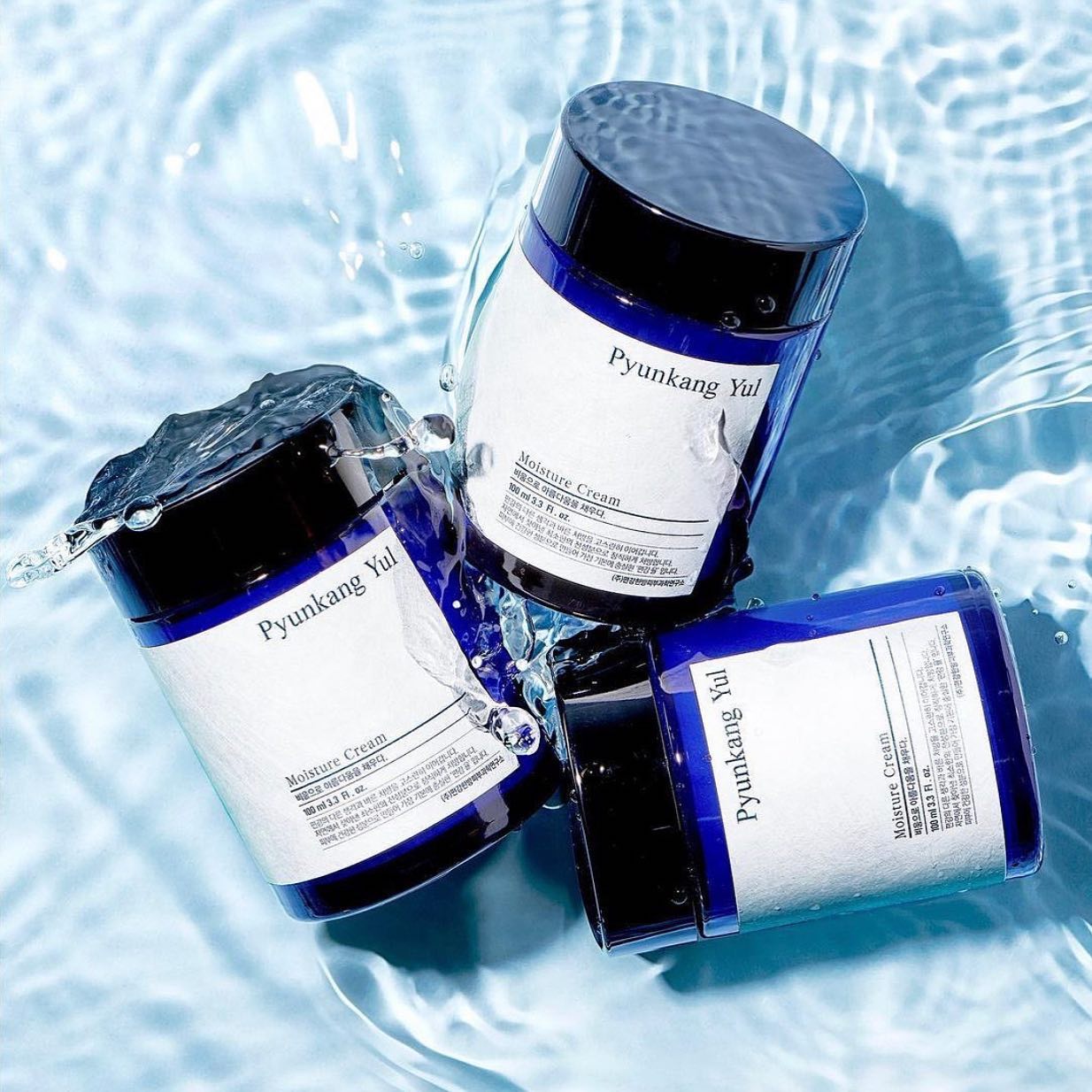 Pyunkang Yul Moisture Cream 100ml — Wholesale