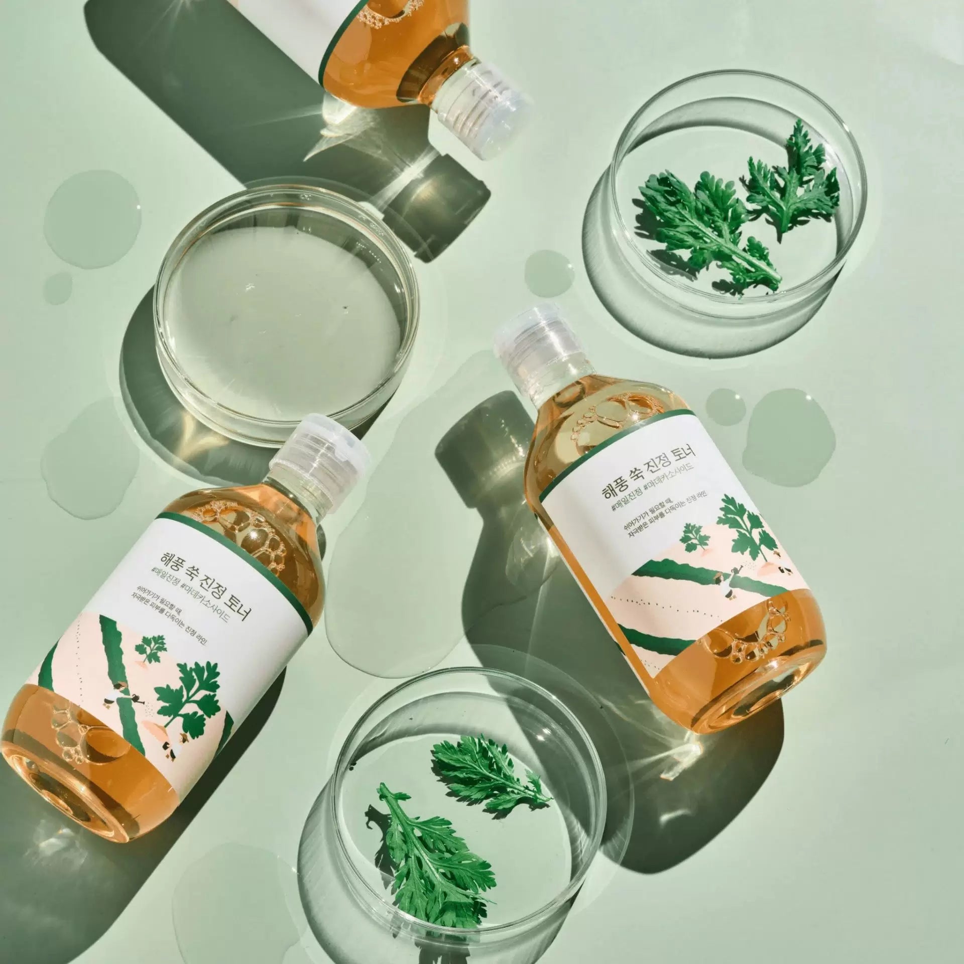 Round Lab Mugwort Calming Toner 300ml — Wholesale