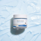 Round Lab Birch Juice Moisturizing Cream 80ml — Wholesale