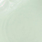 Beauty of Joseon Green Plum Refreshing Toner: AHA + BHA 150ml — Wholesale