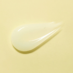 TORRIDEN SOLID-IN Ceramide All Day Essence 100ml — Wholesale
