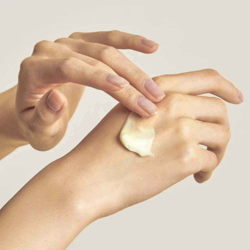 TORRIDEN SOLID-IN Ceramide Cream 70ml — Wholesale