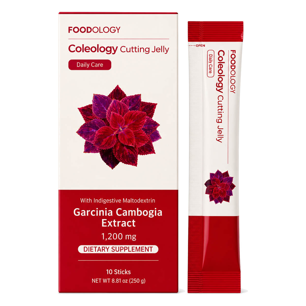 FOODOLOGY – Coleology Cutting Jelly, 25g x 10 sticks