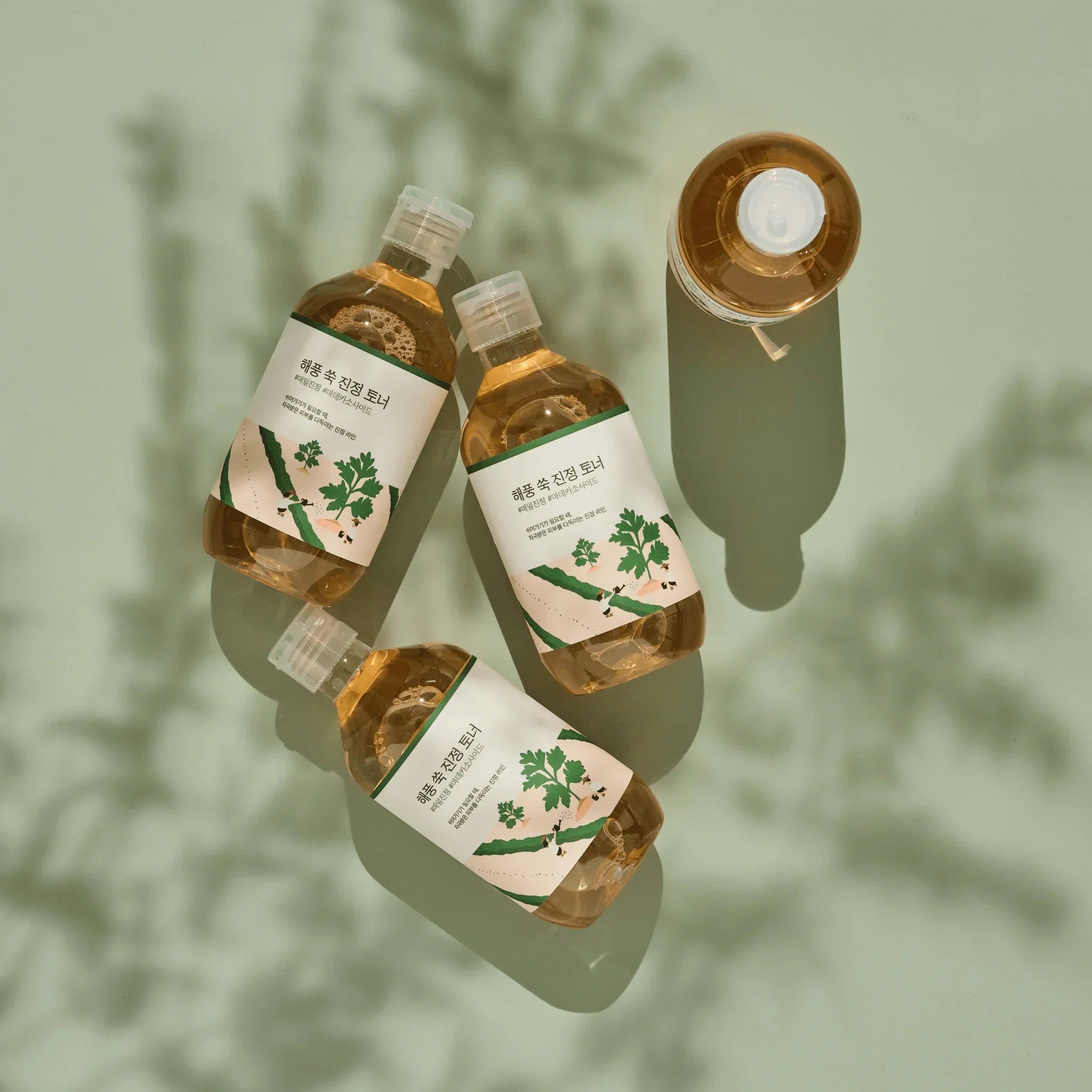 Round Lab Mugwort Calming Toner 300ml — Wholesale