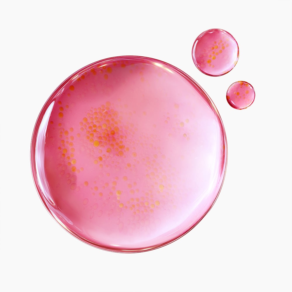 Purito TXA 6 Niacinamide 10 Retinal Serum 30ml — Wholesale